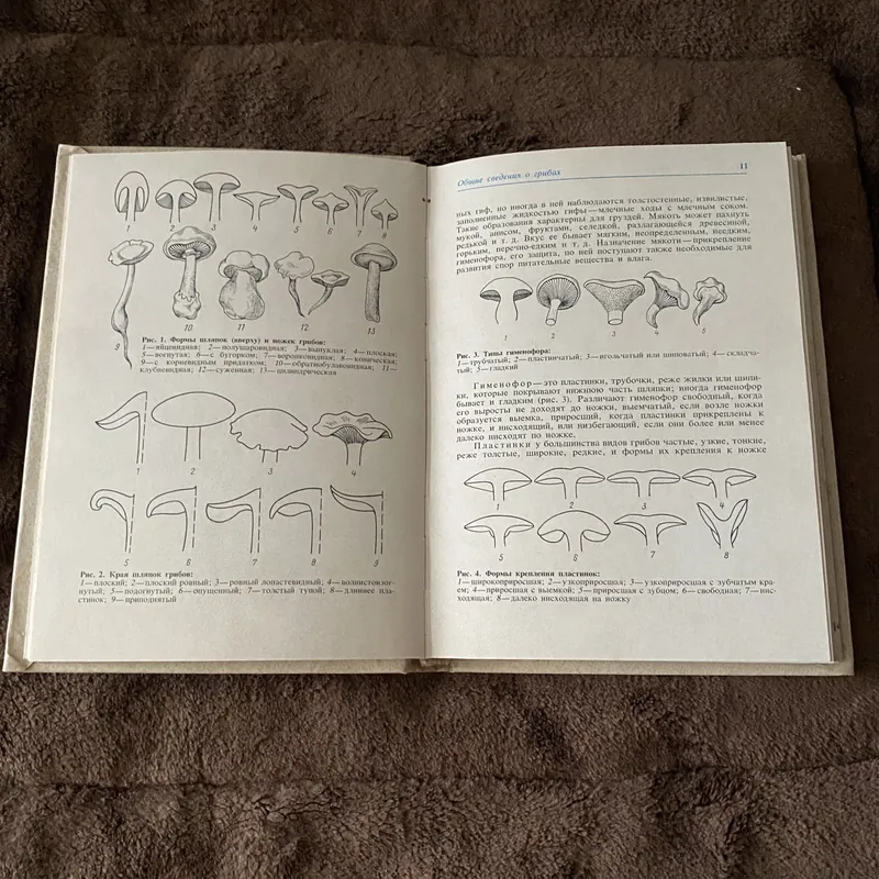 Thu hoạch và chế biến nấm 605073