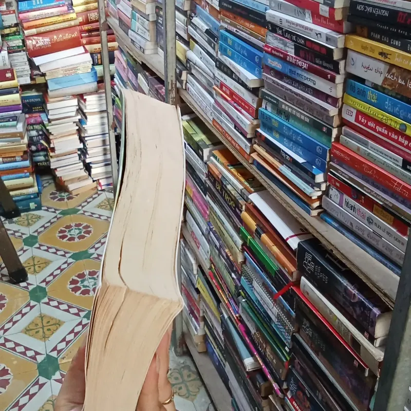 Nguyên Ơi - Lê Hải Triều  788363