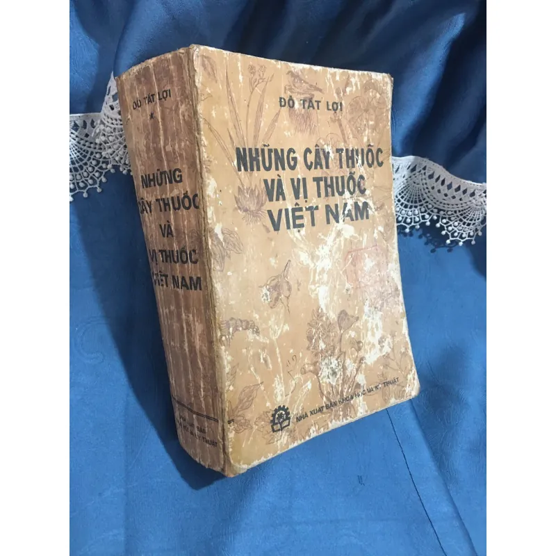 Những cây thuốc vị thuốc Việt Nam 958095