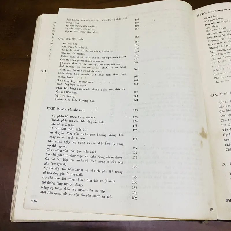 Sinh hoá học hiện đại theo sơ đồ  726792