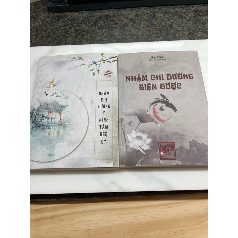 Nhậm chi đường biện dược, Nhậm chi đường y kinh tâm ngộ ký Mặc Thuỷ 552515