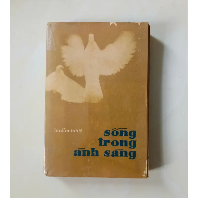 Sống trong ánh sáng 🌻 592274