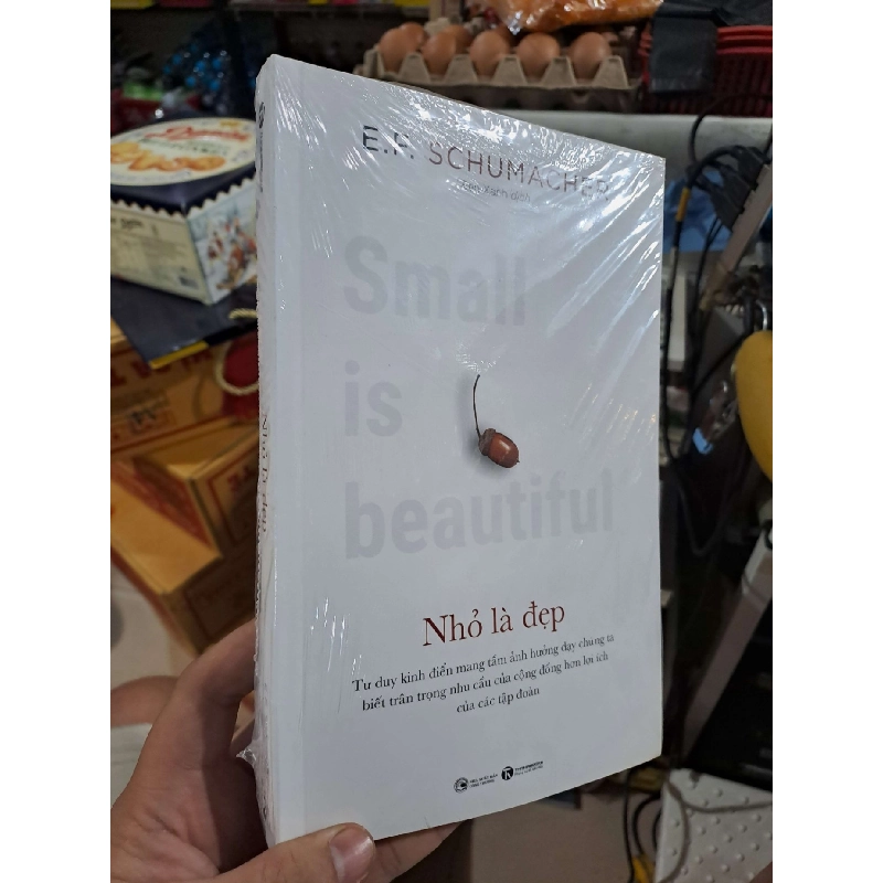 Nhỏ Là Đẹp - E F Schumacher - mới 100% - QUẢN TRỊ - HMT3012 Blogmeo040226 794520