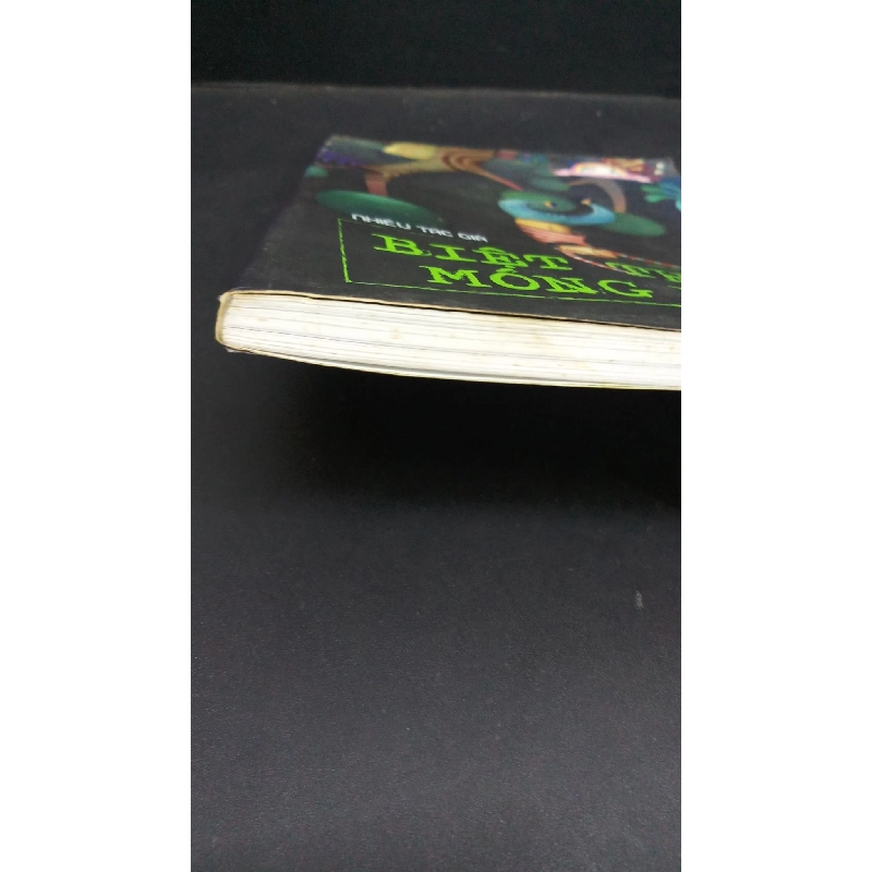 Biệt thự móng bò mới 80% ố 2011 HCM0412 VĂN HỌC 917697