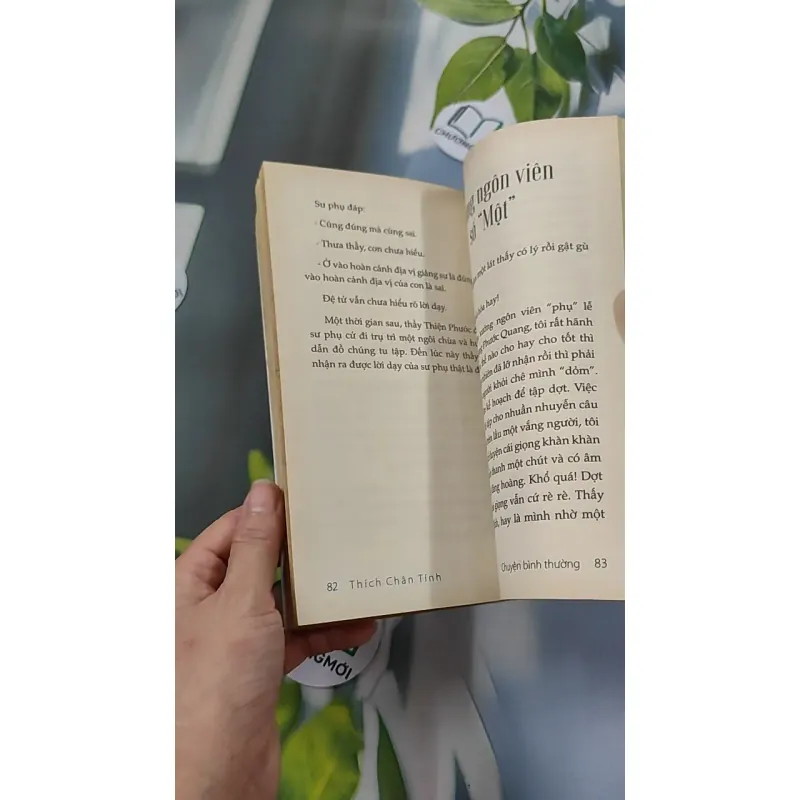 Chuyện Bình Thường - Thích Chân Tính 776106