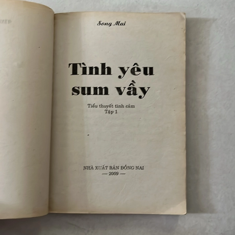 Tình yêu sum vầy - Song Mai 533666