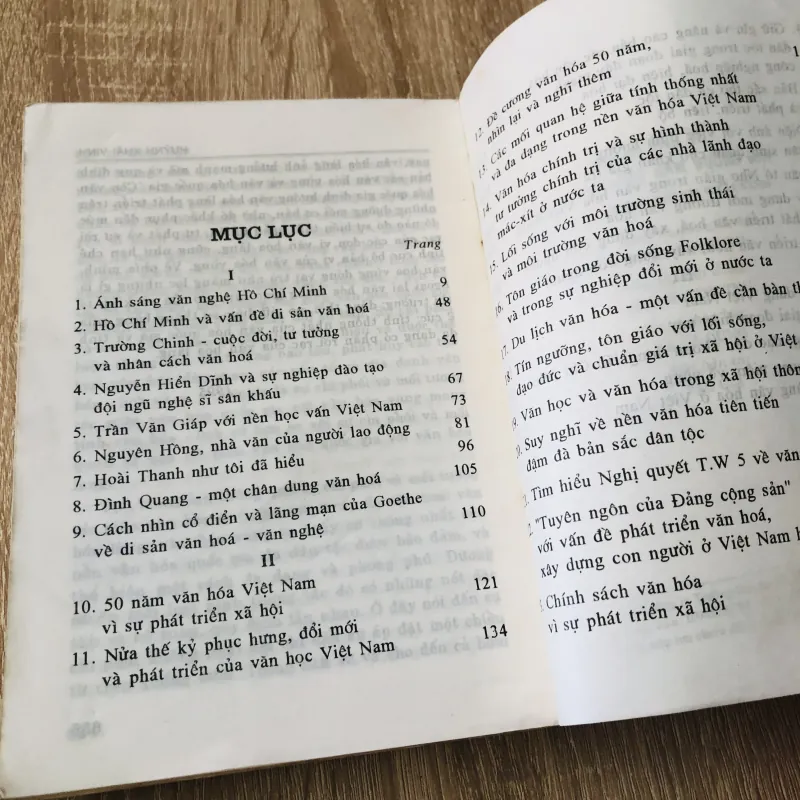 NHỮNG VẤN ĐỀ VĂN HÓA VIỆT NAM ĐƯƠNG ĐẠI  1007296