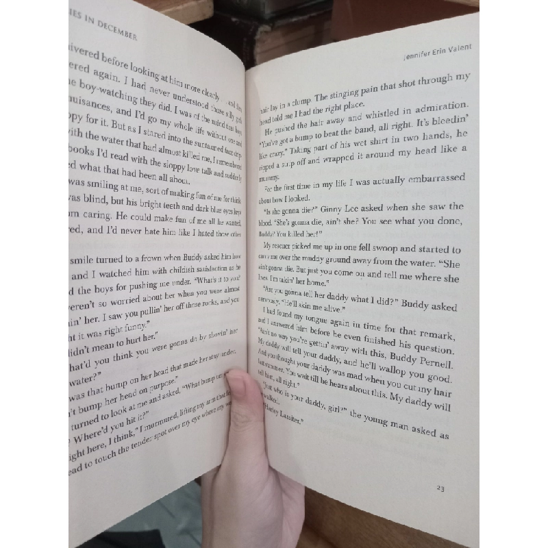 Fireflies in December - Jennifer Erin Valent 504332