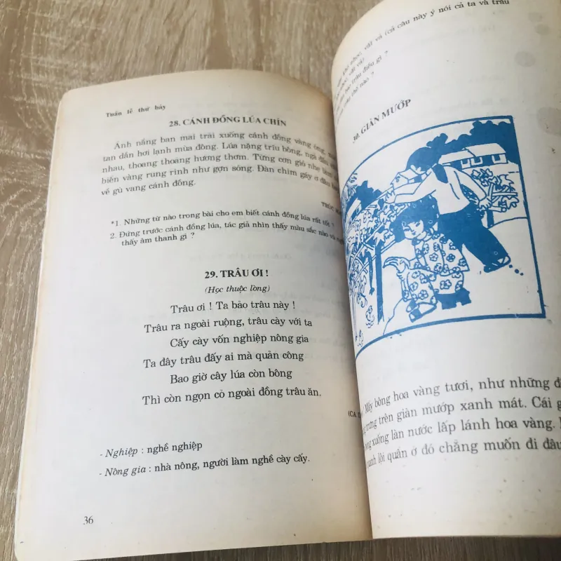 TIẾNG VIỆT 2 - sách cấp 1 phổ cập 1019144