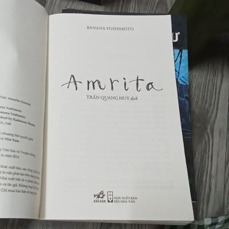 AMRITA - Banana Yoshimoto  992250