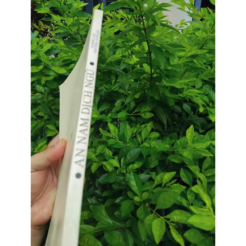 An Nam dịch ngữ do Vương Lộc giới thiệu và chú giải 1001269