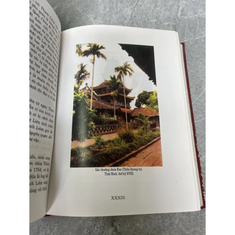 VIỆT NAM PHẬT GIÁO SỬ LUẬN ( BÌA CỨNG ) - NGUYỄN LANG 1030252