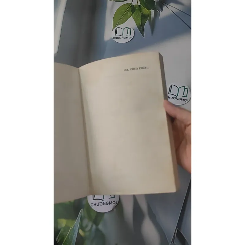 Dạ, Thưa Thầy - Phan Hoàng 928525