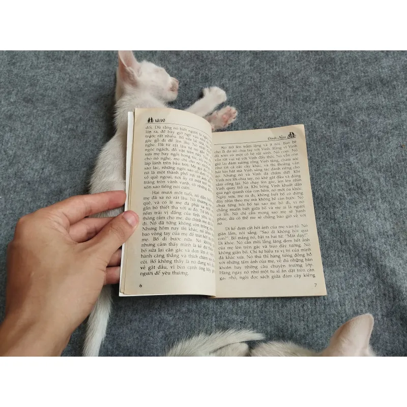 LÁ VỠ - ĐINH NGA 567791