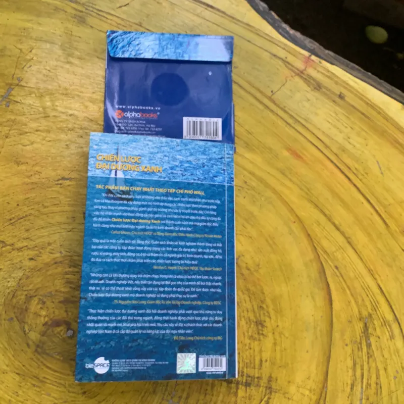  CHIẾN LƯỢC ĐẠI DƯƠNG XANH 747325