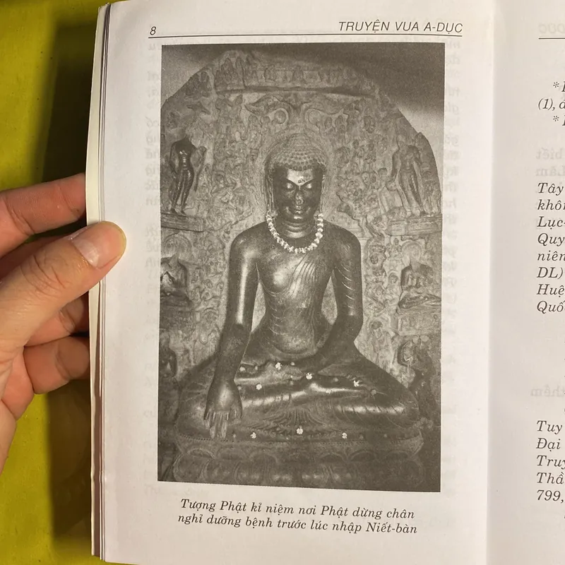 Truyện Vua A Dục - Tam Tạng An Pháp Khâm dịch hán ngữ - Thích Tuệ Thông Việt dịch 605505