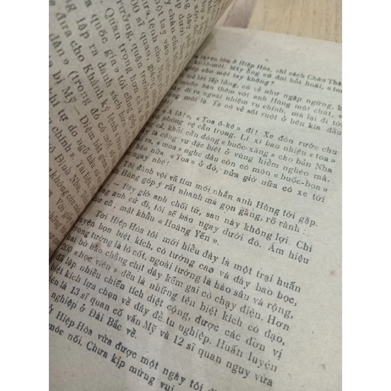 Hai mươi mùa xuân thầm lặng - Mai Thanh Hải 567786