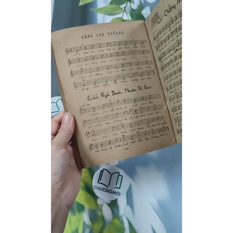 Những Truyện Tích Đầu Tiên Trong Kinh Thánh - Hội Thánh Tin Lành 775990