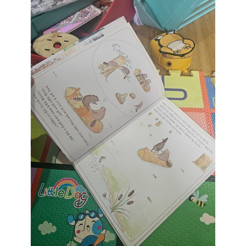 Sách học tiếng Hàn bìa cứng In màu như hình  418800