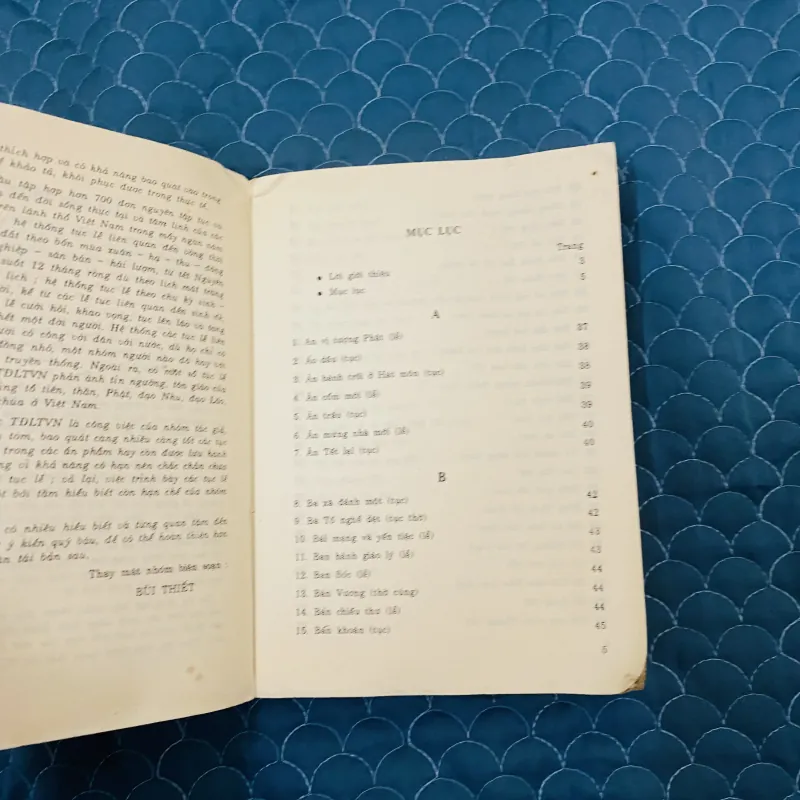 Từ điển lễ tục Việt Nam ( sách hiếm) 1023243