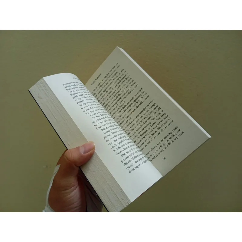 A slow fire burning, sách ngoại văn tiếng Anh english book tiểu thuyết  695856