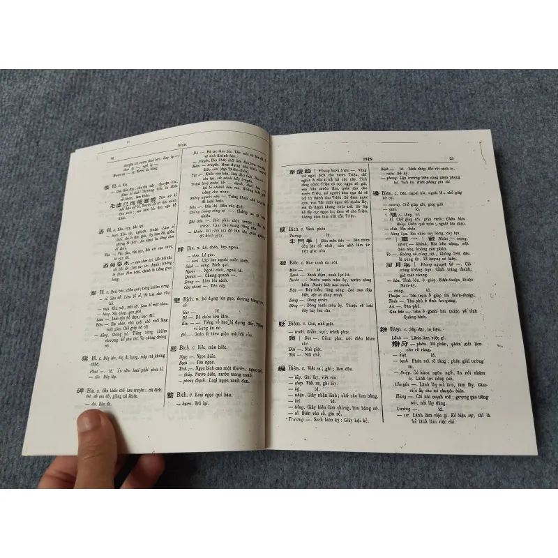 ĐẠI NAM QUỐC ÂM TỰ VỊ 729315