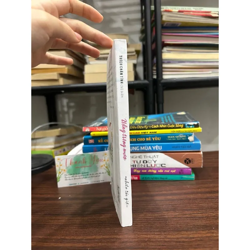 Nắng trong mưa- Thích Chân Tính 599698