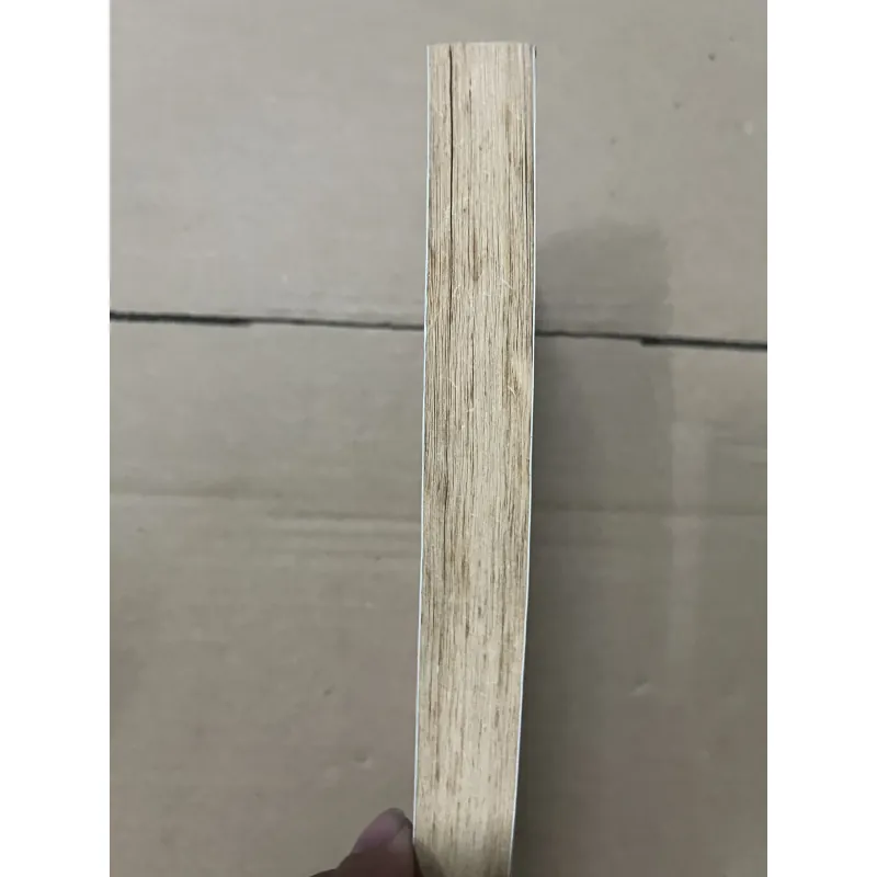 Mình là cá 1019866