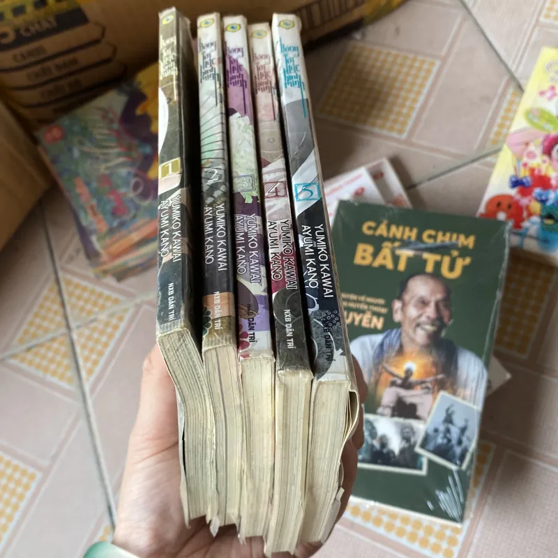 Bóng Tối Lúc Bình Minh (trọn bộ 5 tập) 976738