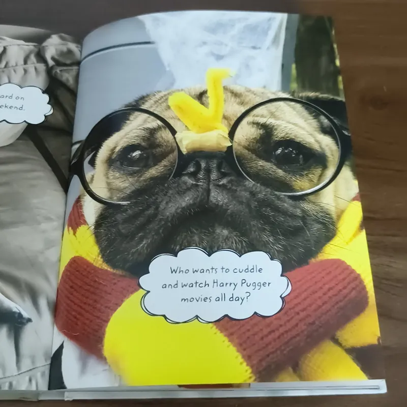 Doug the Pug - King of the Internet - Leslie Mosier 697452