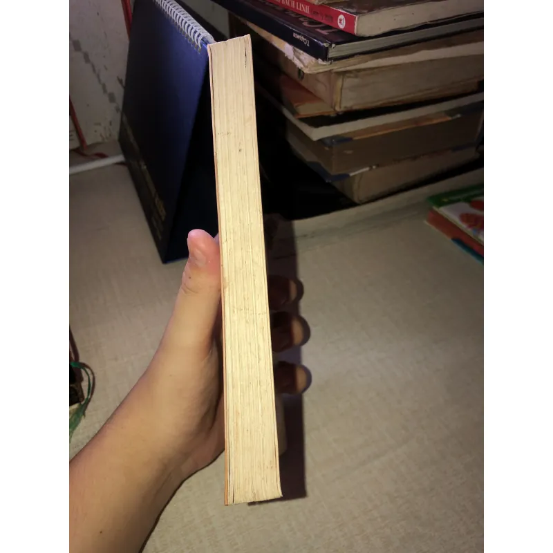 Vũ Như Tô- Tác Phẩm Dư Luận  956892