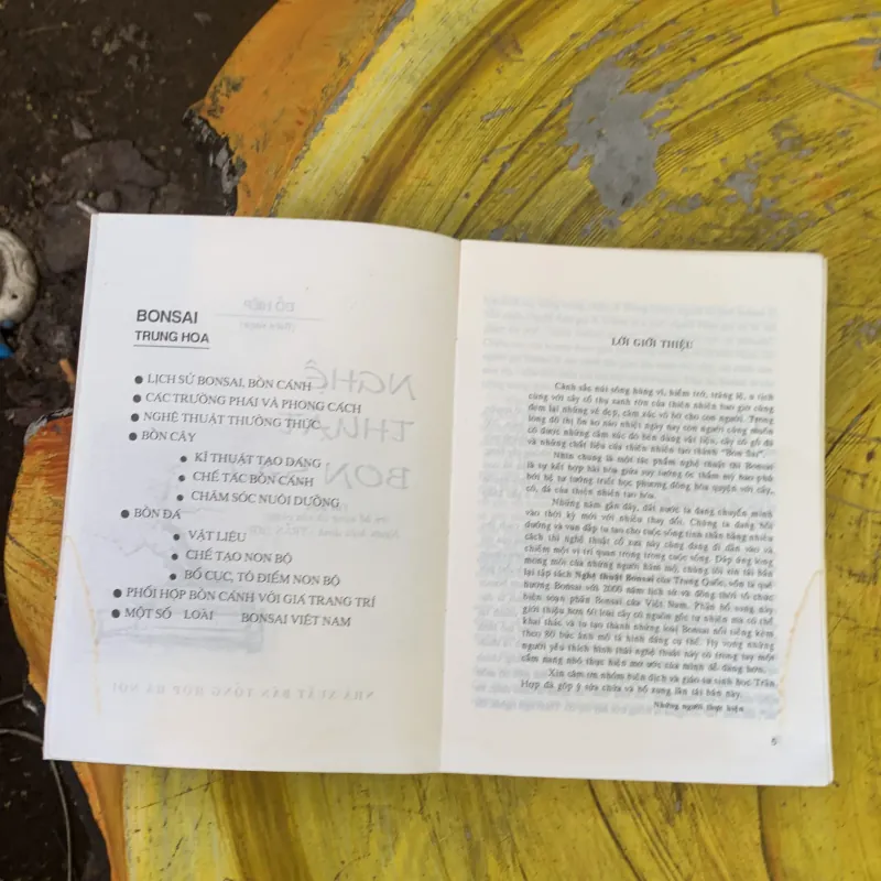 BONSAI CÂY DÁNG, THẾ VÀ NON BỘ - ĐỖ HIỆP 759688