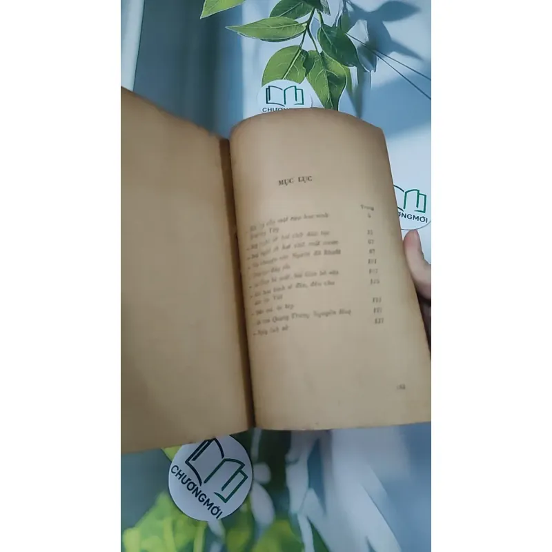 [MIỄN PHÍ BỌC SÁCH] [XƯA] Tìm Về Dân Tộc (1990) - Lý Chánh Trung 776027