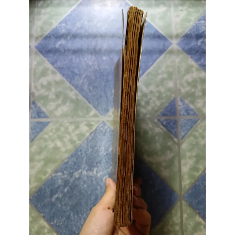 Vovinam - Việt võ đạo 999222