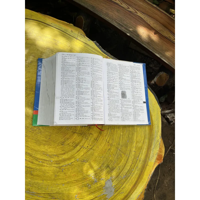 TỪ ĐIỂN ANH - ANH- VIỆT& VIỆT - ANH- KHOA HỌC XÃ HỘI VÀ NHÂN VĂN VIỆN NGÔN NGỮ HỌC 603666