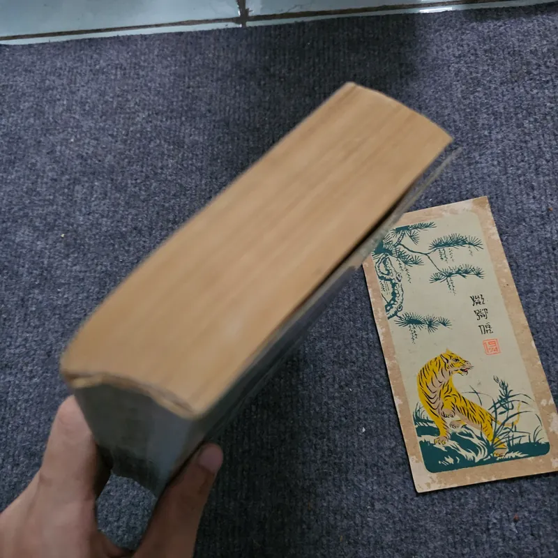 India a million  mutinies now - Naipaul 740849