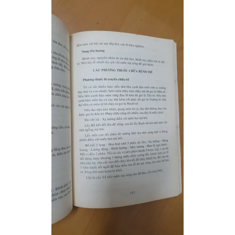 HOA ĐÀ BÍ TRUYỀN  778698