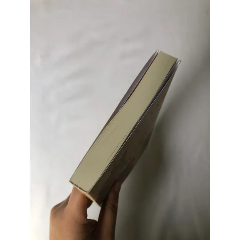 Thành Phố Của Những Chú Mèo Lạc - Tanya Lloyd Kyi 693523