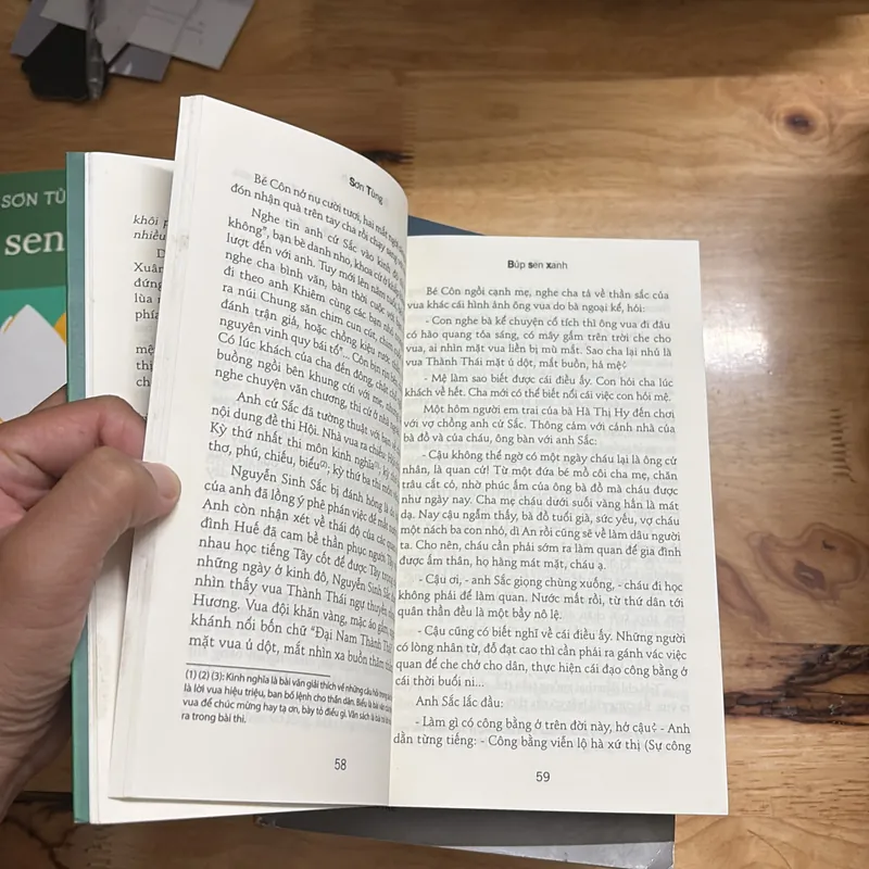 II Tiểu Thuyết: Búp Sen Xanh - Sơn Tùng - 2023 702642