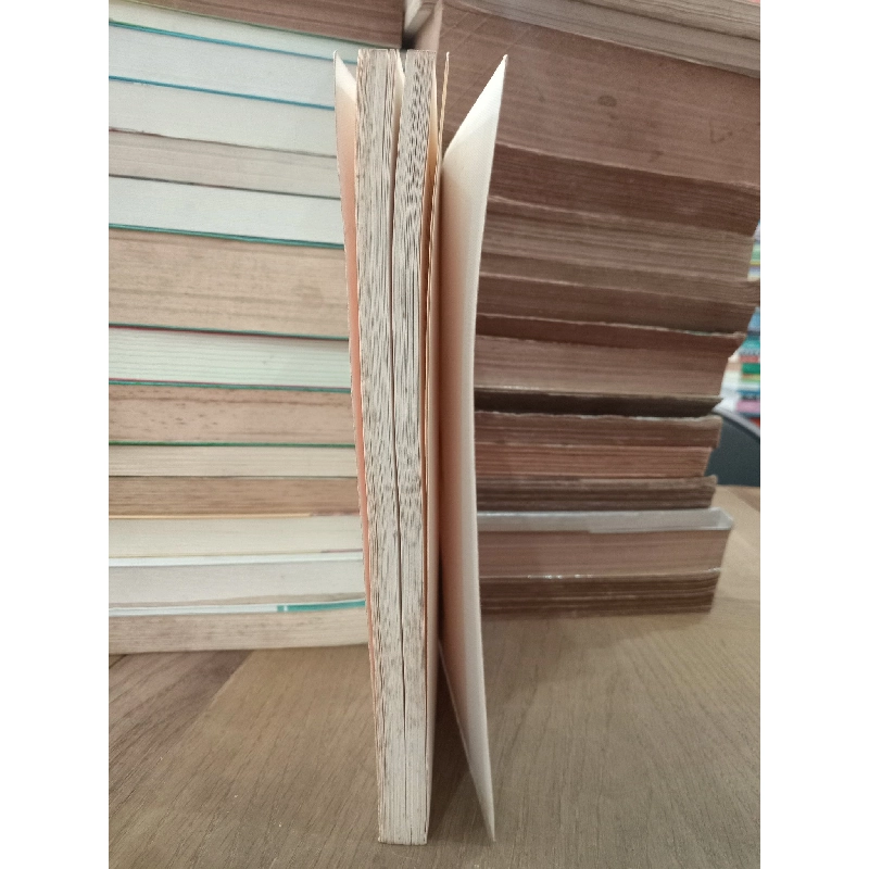 La dernière nuit - Emmanuel Bove 800434