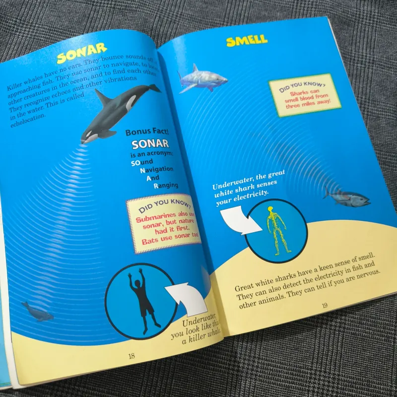 Who Would Win? Killer Whale vs. Great White Shark - Jerry Pallotta 754576