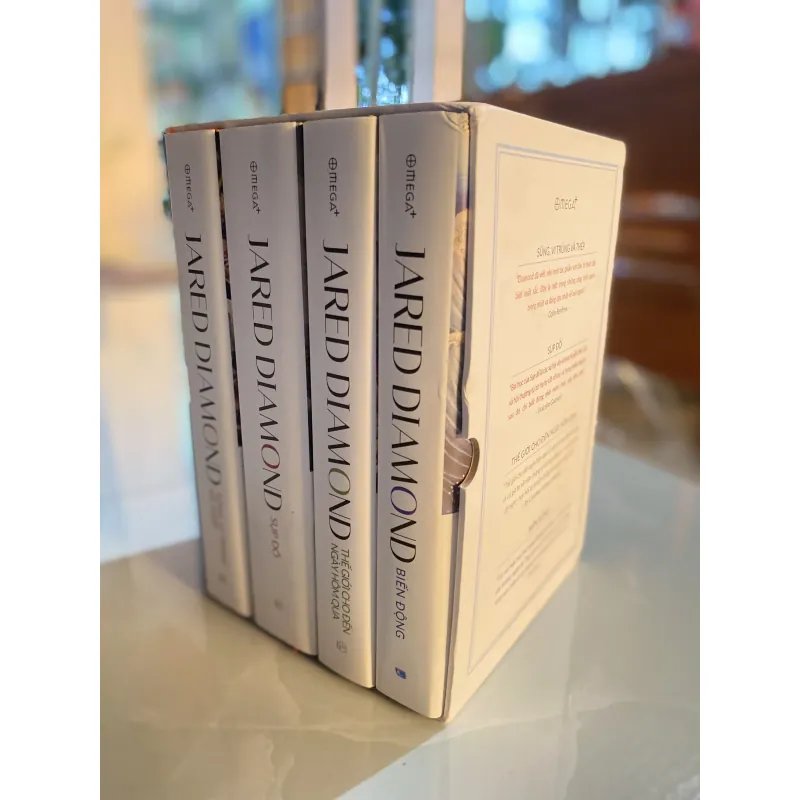 Box Lịch sử Nhân loại 937139