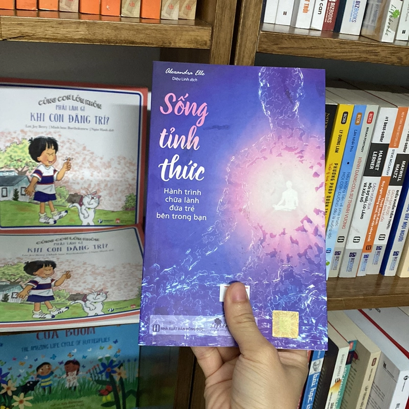 Sống tỉnh thức hành trình chữa lành đứa trẻ bên trong bạn 519313