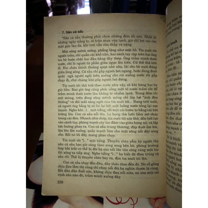 Văn miêu tả trong nhà trường phổ thông - Đỗ Ngọc Thống 1028052