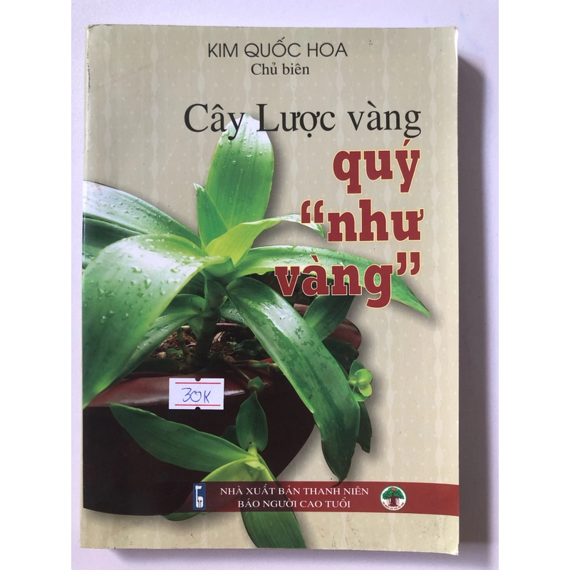 CÂY LƯỢC VÀNG “ QUÝ NHƯ VÀNG “  - 198 trang, nxb: 2010 320249