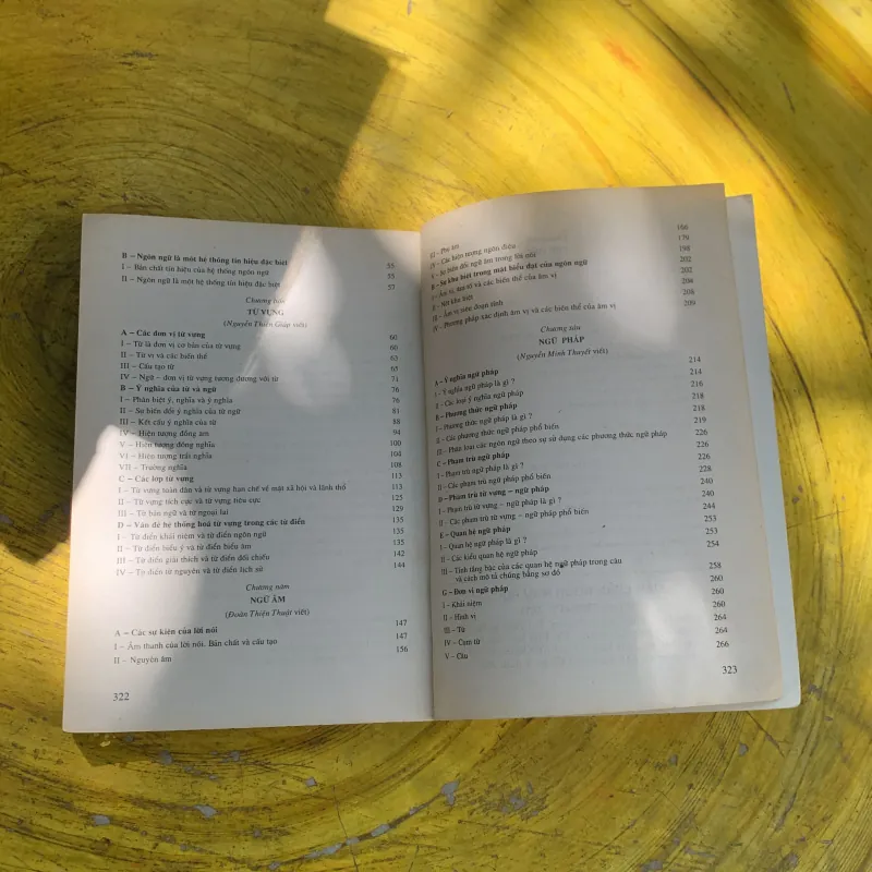 COMBO MỘT SỐ VẤN ĐỀ VỀ VĂN HOÁ VIỆT NAM ĐƯƠNG ĐẠI & DẪN LUẬN NGÔN NGỮ HỌC  785680