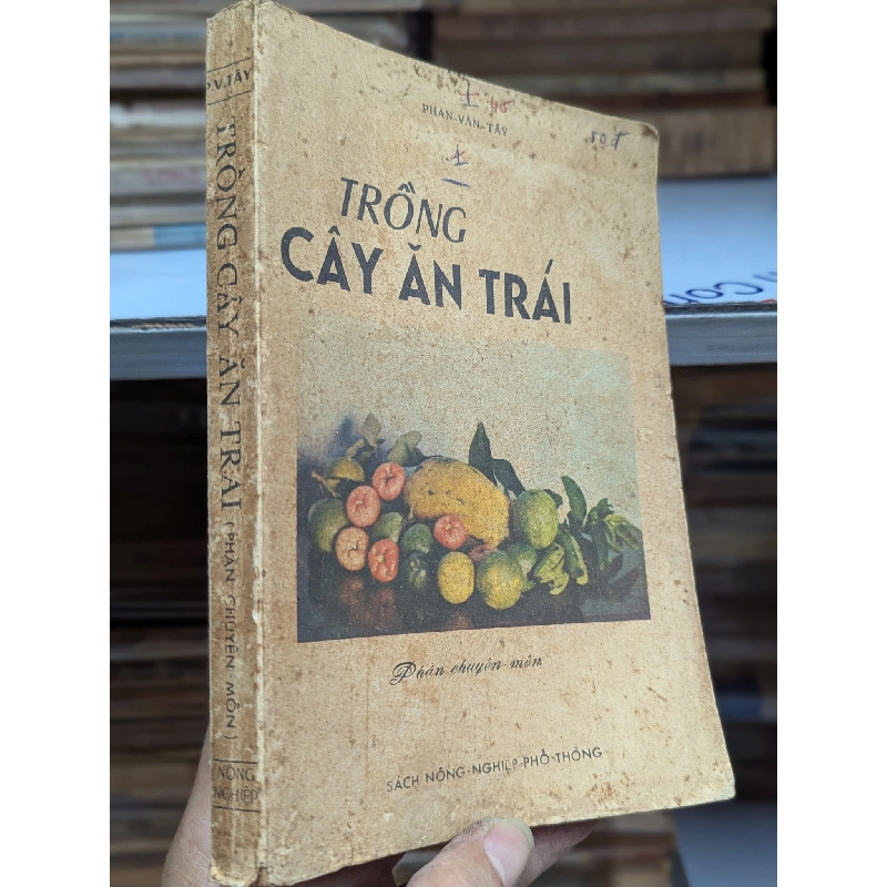 Trồng cây ăn trái - Phan Văn Tây 465299