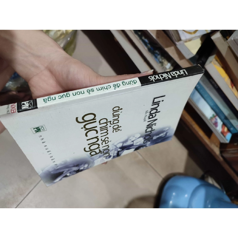 Đừng để chim sẻ non gục ngãHCM01/03 910259