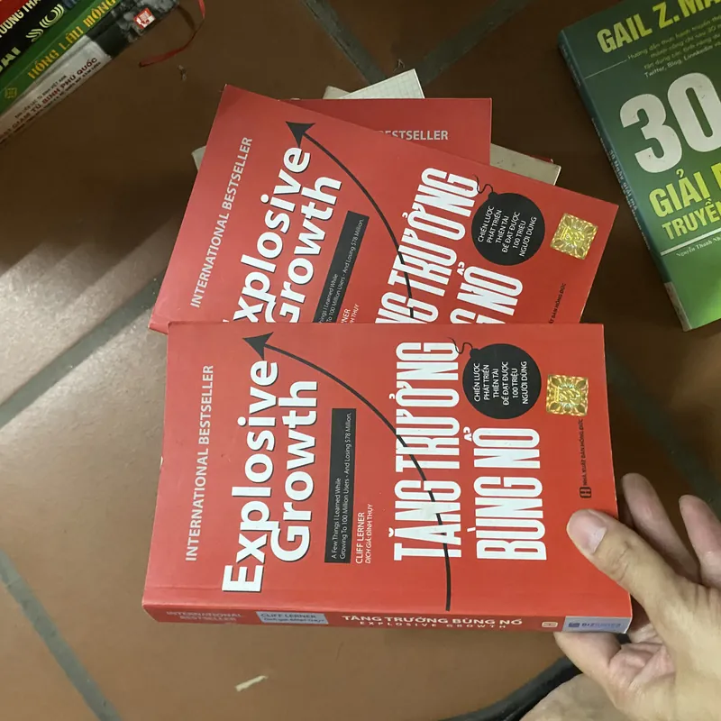 Sách tăng trưởng bùng nổ 309809