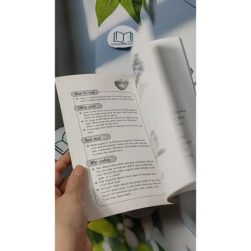 Oxford Reading Tree - Stage 11: TreeTops More Stories A: The Big Chance 703070